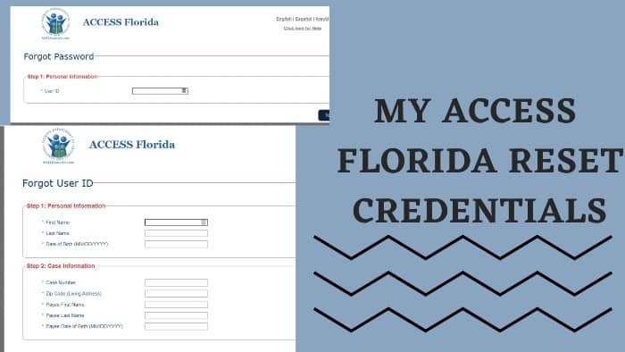 My Access Florida Reset Credentials